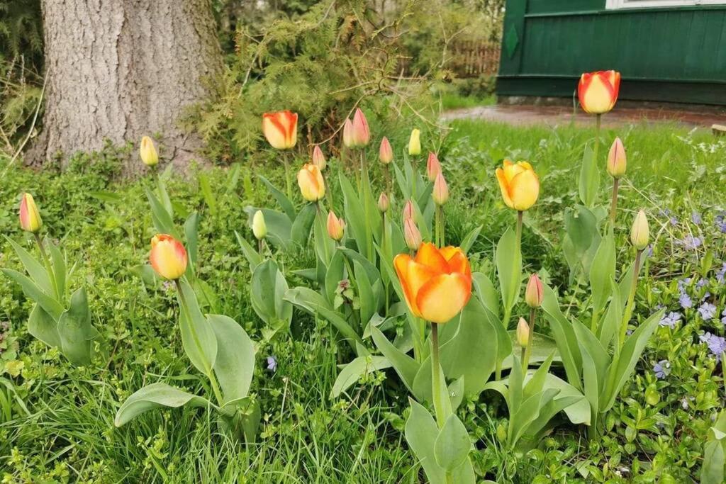 Kraina Bugu Villa Parosla Bagian luar foto